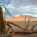 NAM HAR Dune45 2016NOV21 072 : 2016 - African Adventures, Hardap, Namibia, Southern, Africa, Dune 45, 2016, November
